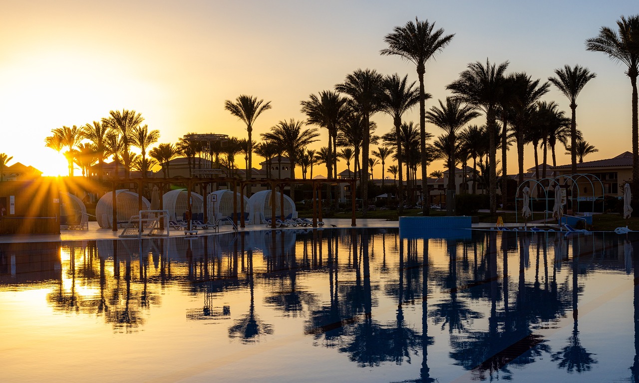 Guía de cuidado de palmeras